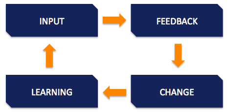 行動(dòng)學(xué)習(xí)周期